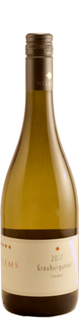 2023 Weingut Willems - Grauburgunder- QbA. - trocken - 0,75 L